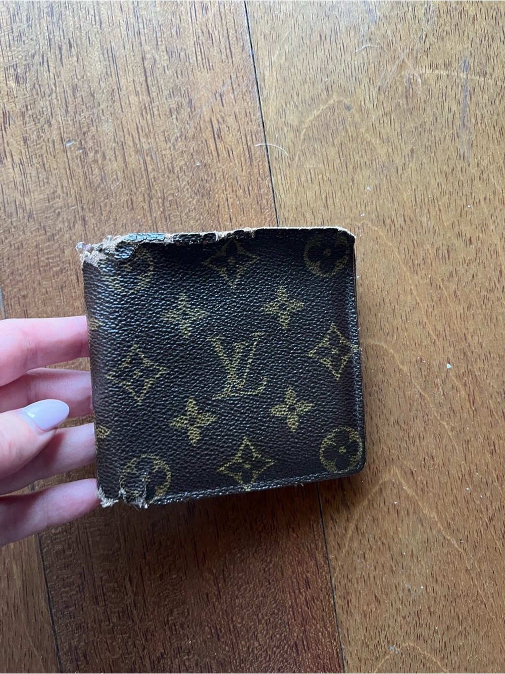 Louis Vuitton Monogram Canvas Wallet in Brown and Gold